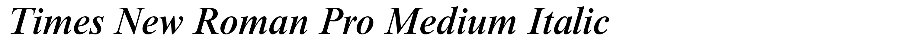Times New Roman Pro Medium Italic